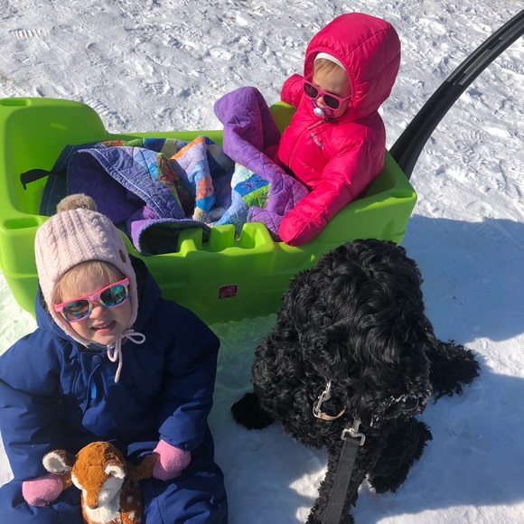 Meet your Posher, Bronwyn - Picture 1 of 1